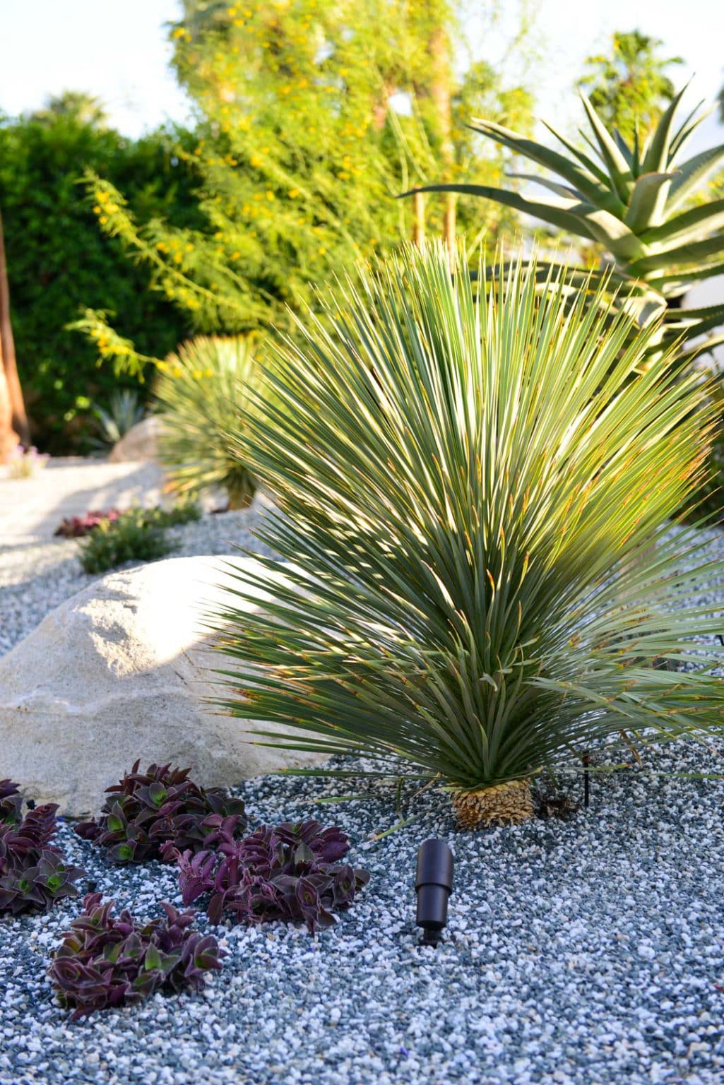Complete landscape transformation in Palm Springs. Installation includes acid washed hardscape layout, outdoor living area with pizza oven, BBQ, Fireplace, Outdoor shower with breeze block, low voltage lighting, boulders, irrigation and desert plants. Design also includes new driveway automatic gate and new pedestrian entry gate and new garden walls in front yard.